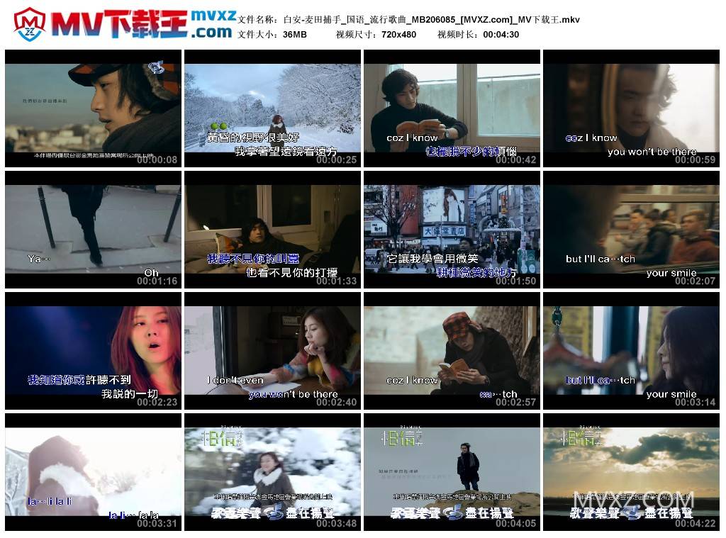 白安-麦田捕手_国语_流行歌曲_MB206085